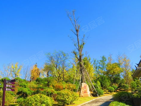 隨州世紀花園最新動態(tài)