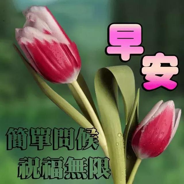 最新早上好表情圖，開(kāi)啟美好一天的溫馨問(wèn)候