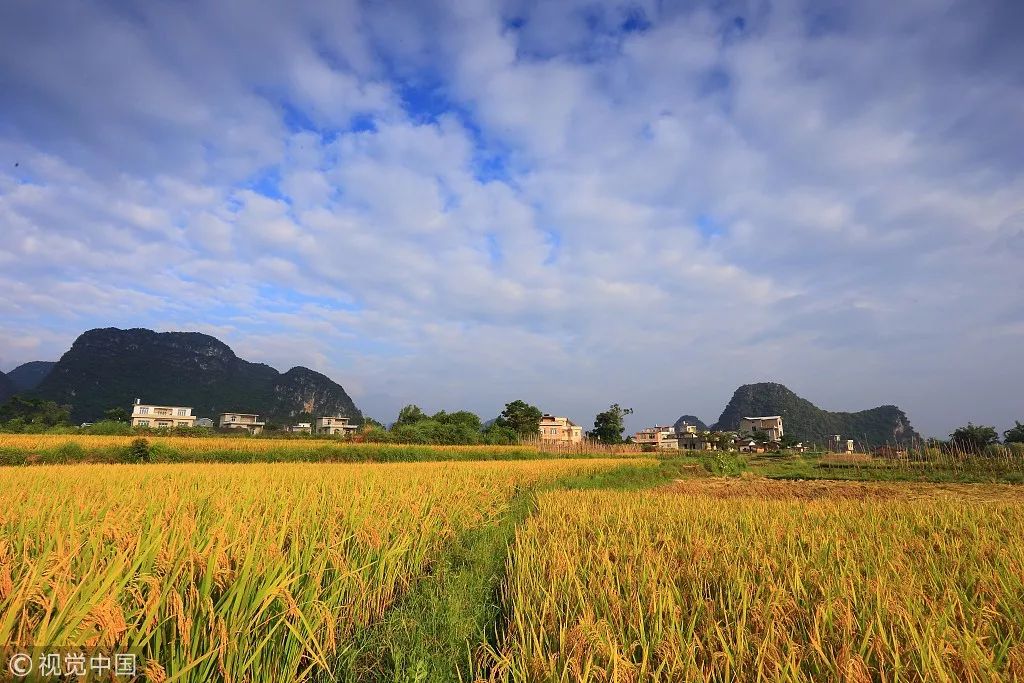 井岡山旅游上市最新動態(tài)，發(fā)展機遇與挑戰(zhàn)并存